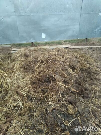 Коровий и козий навоз