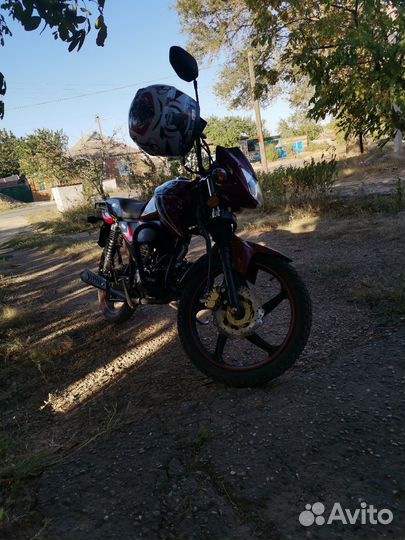 Alpha sirius sport