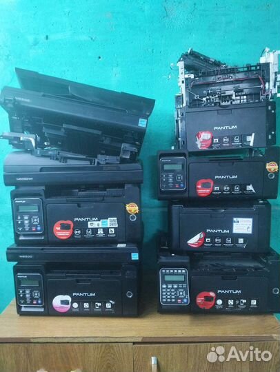 Pantum на разбор