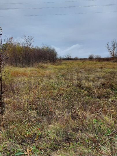 Участок 25 сот. (ИЖС)