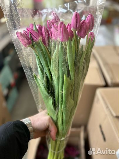 Тюльпаны к 8 марта