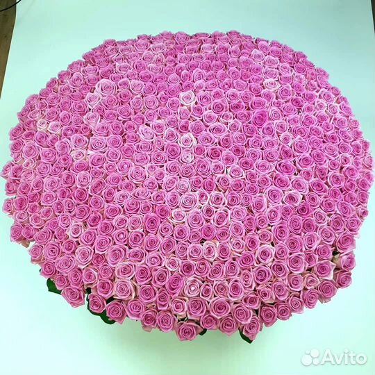 Букет из 1001 голландской розы