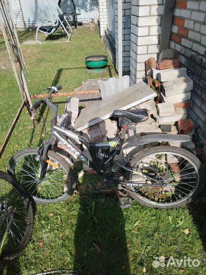 Хобби и отдых