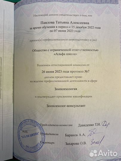 Зоопсихолог для собак. Зооняня