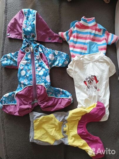 Одежда для маленьких собак