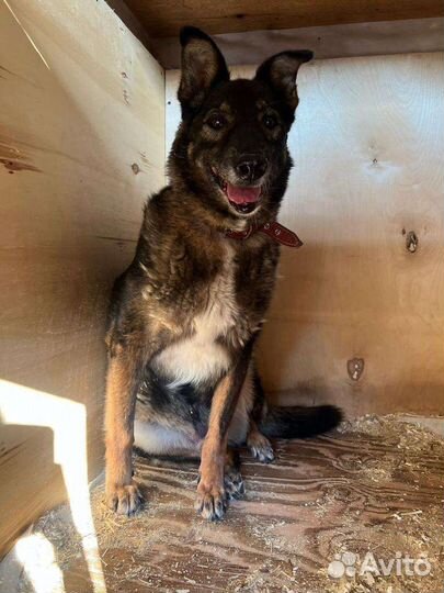 Я потерял все зубы