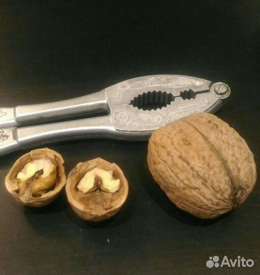 Грецкий орех саженцы,гиганты плоды