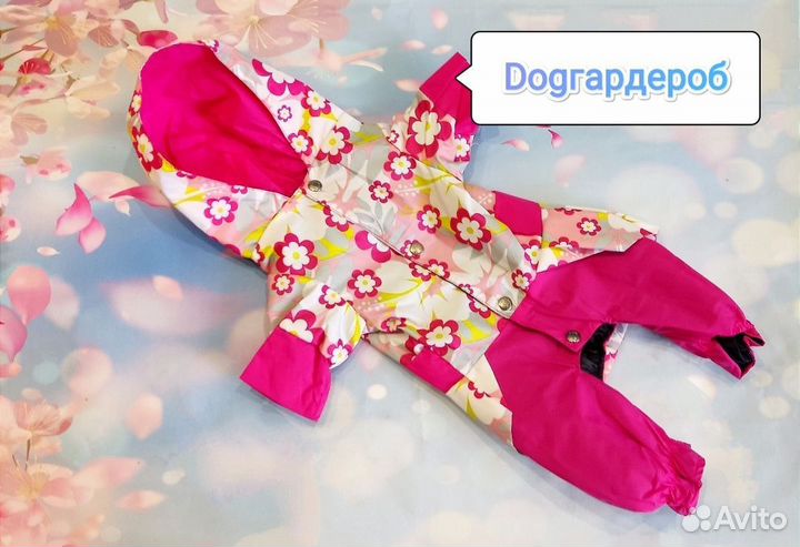 Демисезонный комбинезон для собак