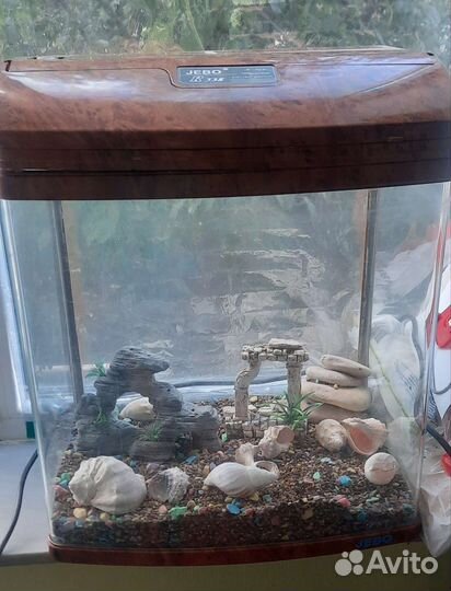 Аквариум