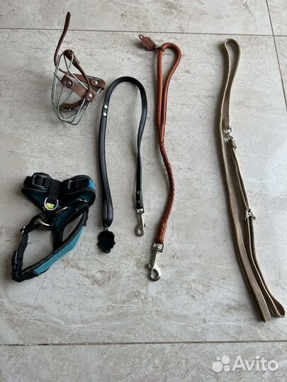 Будка, вольер, клетка и амуниция для собак