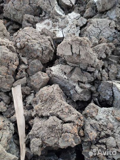 Сапропель удобрение земля перегной чернозём