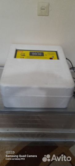 Автоматический инкубатор 