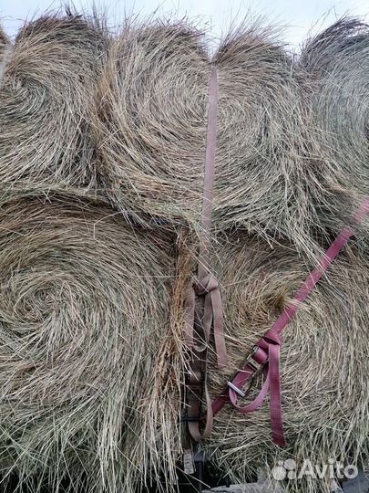 Сено рулоны