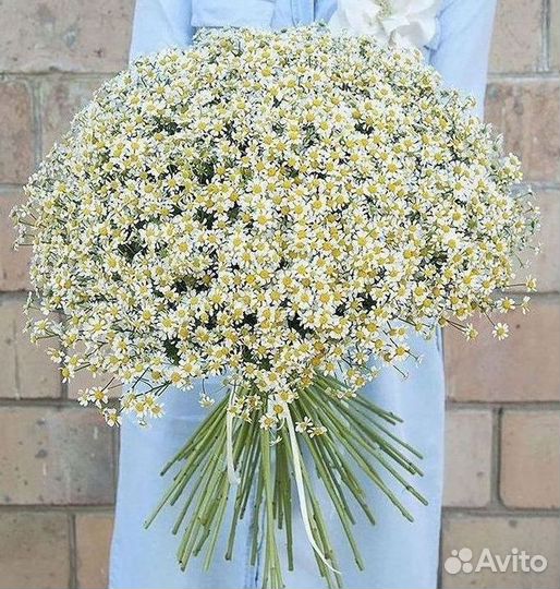 Ромашки Букет из ромашек доставка