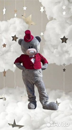 Организатор мероприятий