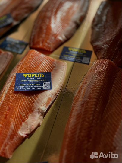 Радужная форель