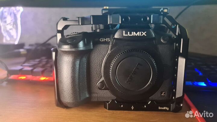 Panasonic gh5