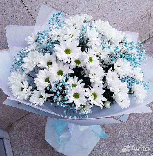 Хризантема Букет хризантем Доставка