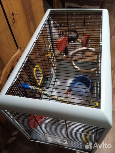 Клетка для попугая с игрушками