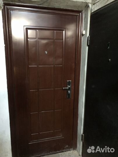 Железная дверь полотно
