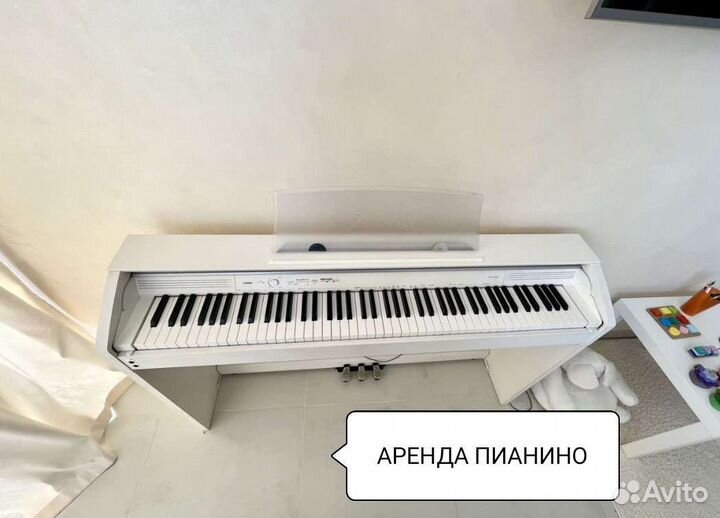 В прокат пианино casio prirvia px750
