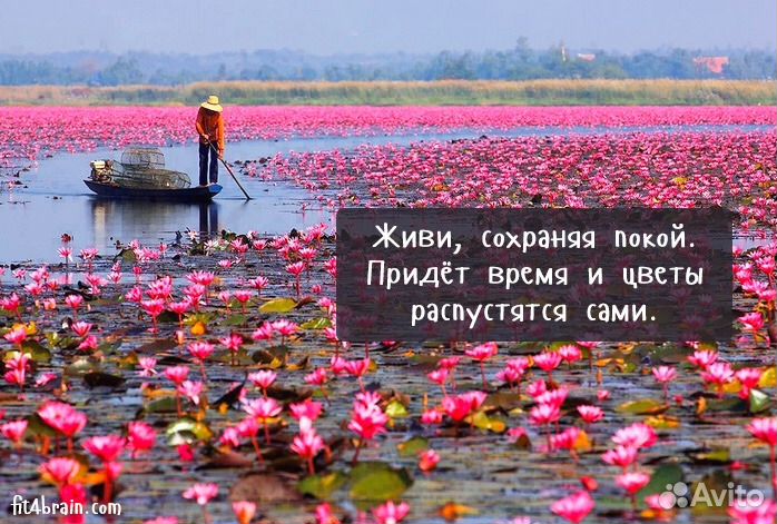 Велостеппер, степпербайк, stepper bike, 3 g степп