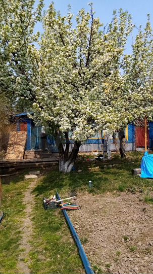 Дача 81 м² на участке 15 сот.