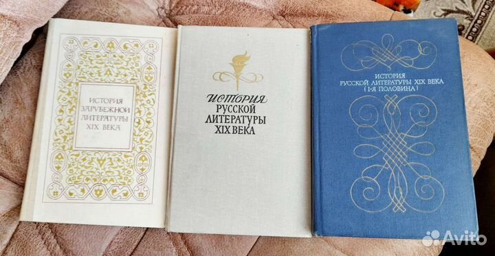 История литературы XIX века