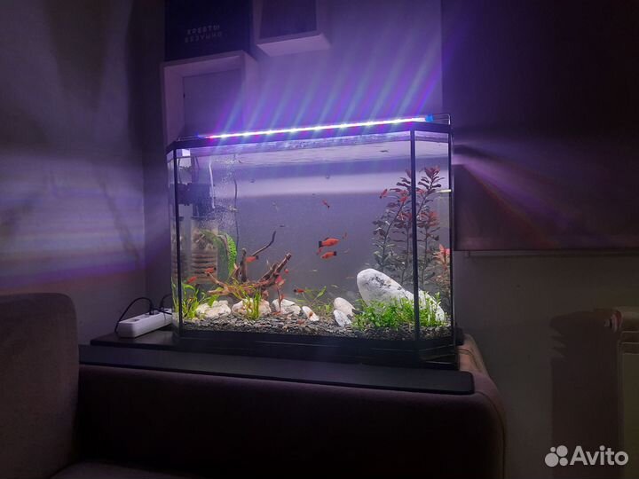 Аквариум