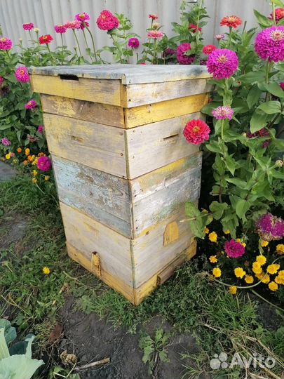 Продам ульи для пчел, Тамбов