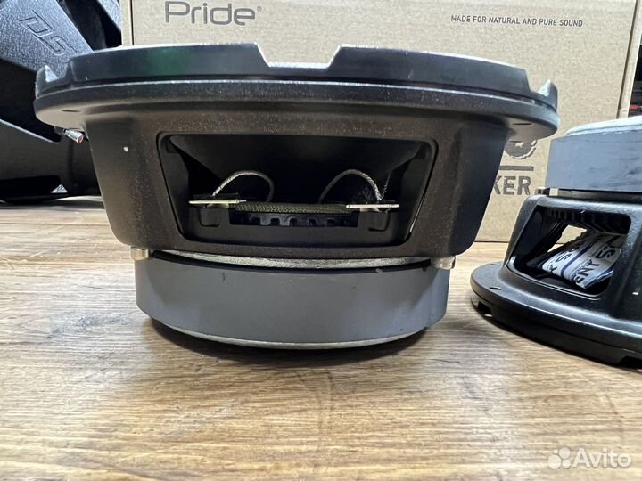 Эстрадная Акустика Pride Solo 200