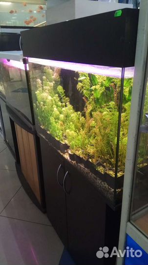 Оформление, чистка аквариума