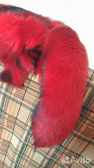 Остатки шкурки лисы