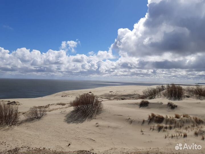 Куршская коса экскурсия