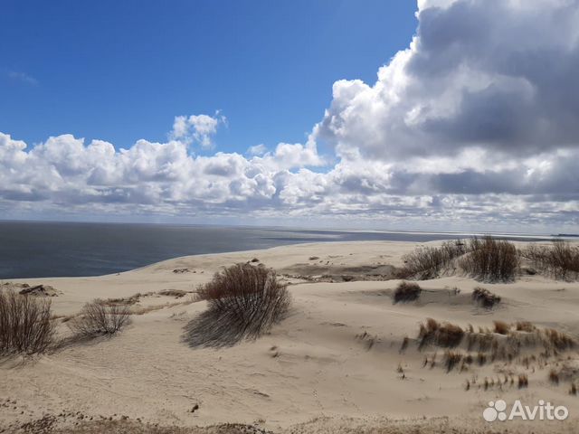 Куршская коса экскурсия