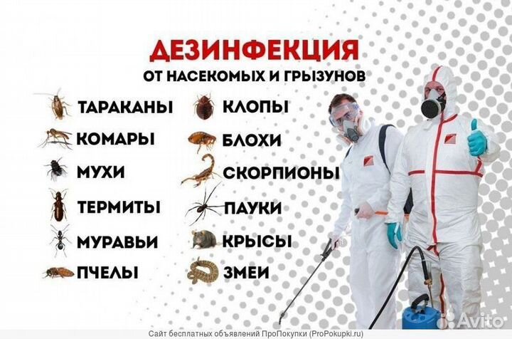 Уничтожение тараканов, муравьев, клопов