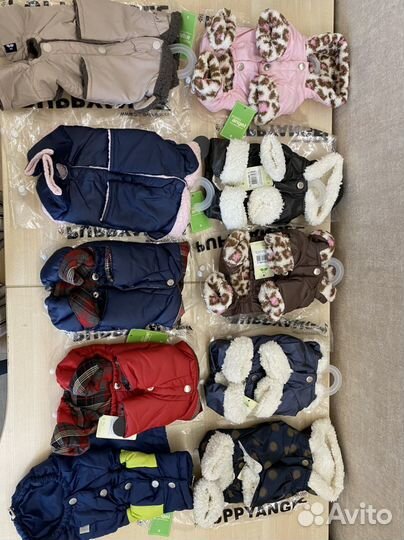 Новая одежда для собак puppy angel размер S