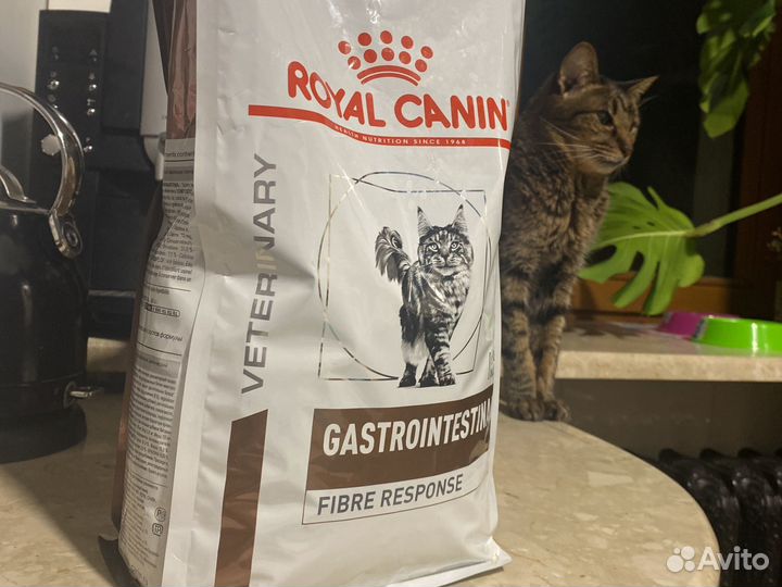 Royal canin gastrointestinal fibre response