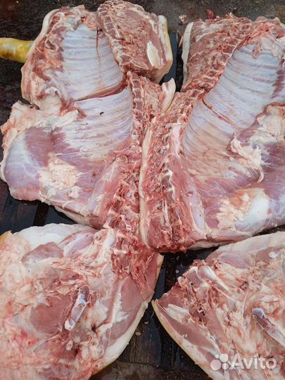 Мясо свинины