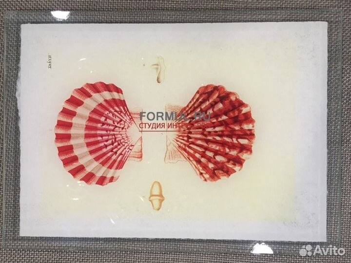 225777 Постер Авторская работа SHL 043