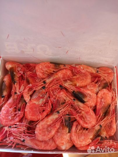 Креветка северная дикая