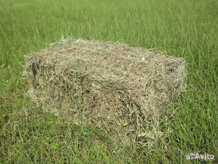Сено и солома в тюках