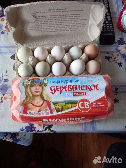 Яйцо инкубационное