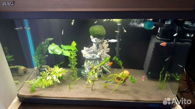 Аквариум jebo