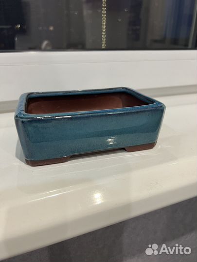 Горшок для бонсай