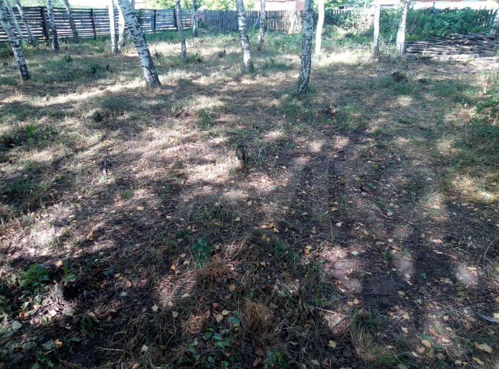 Участок 17 сот. (ИЖС)