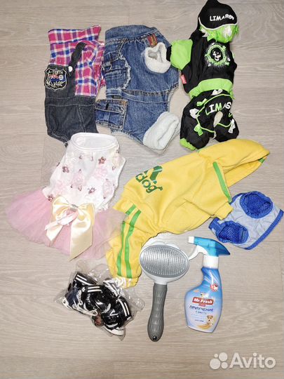 Вещи для собак мелких пород