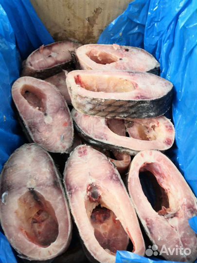 Рыба. Продажа и услуги. Разделка. Вакуум. Фасовка