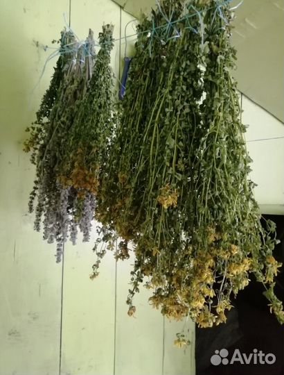 Пустырник, зверобой в пучках