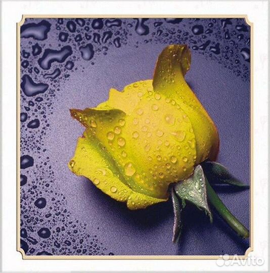 Наборы алмазной мозаики (вышивки)